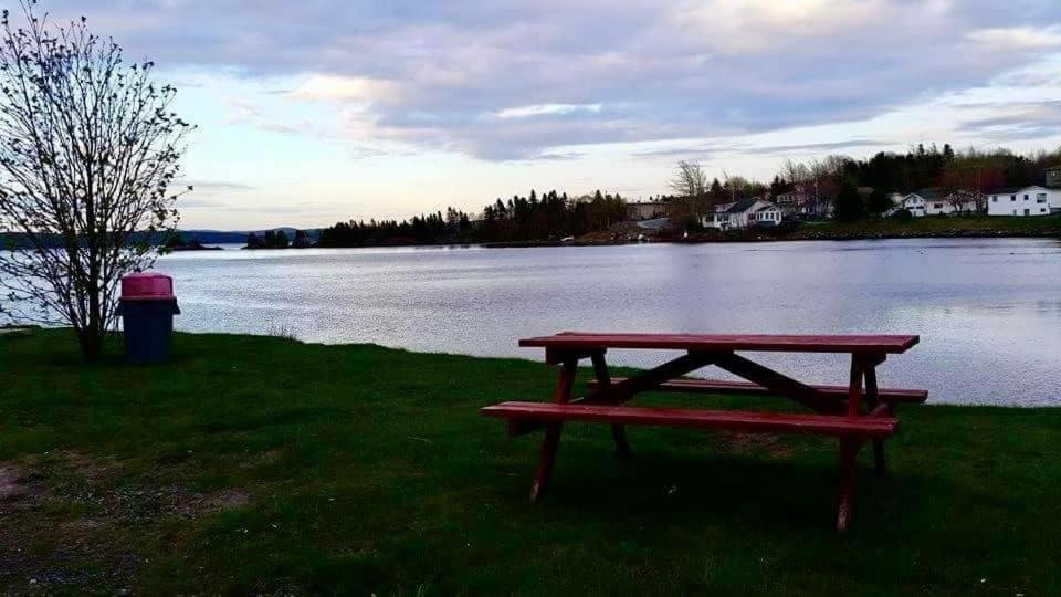 Riverview Suites Clarenville Exteriér fotografie